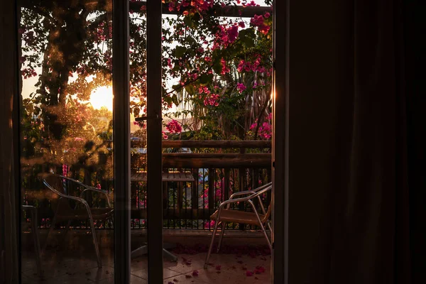 호텔 방의 아름다운 풍경이야. 호텔의 포스트 카드 관광 전망. 꽃이 피고 아늑 한 발코니가 있는 이국적 인 나무들. 테이블, 의자, 그리고 떨어진 붉은 꽃. 어둠 속에서 일출까지 아늑 한 광경. — 스톡 사진