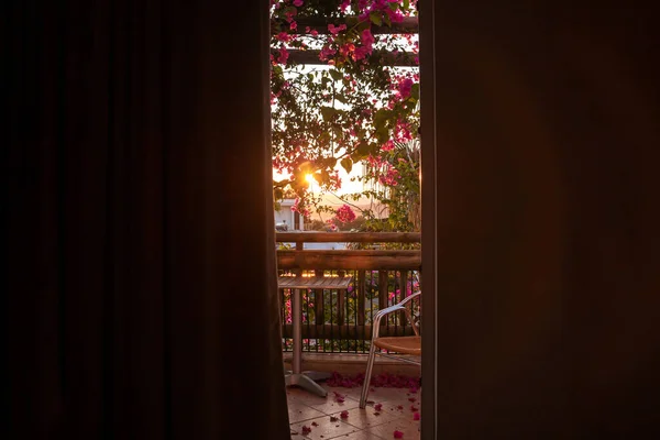 호텔 방의 아름다운 풍경이야. 호텔의 포스트 카드 관광 전망. 꽃이 피고 아늑 한 발코니가 있는 이국적 인 나무들. 테이블, 의자, 그리고 떨어진 붉은 꽃. 어둠 속에서 일출까지 아늑 한 광경. — 스톡 사진