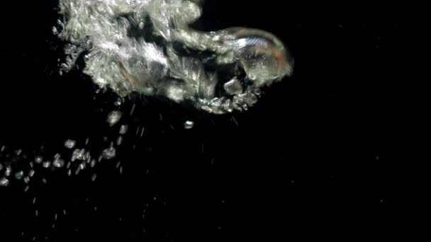 Close-up luchtbellen in water stijgen naar boven op geïsoleerde zwarte achtergrond — Stockvideo