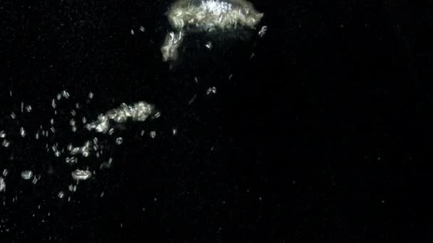 Пузырьки воздуха в воде поднимаются на поверхность на изолированном черном фоне — стоковое видео