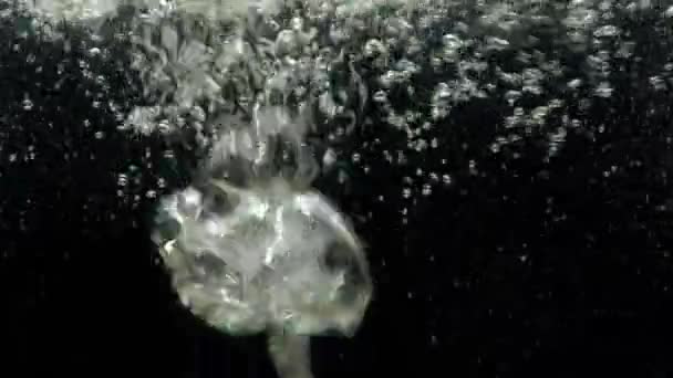 Luftbubblor i vatten stiger upp till ytan på isolerad svart bakgrund — Stockvideo
