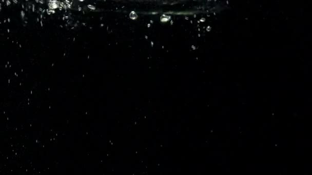 Luftblasen im Wasser, die auf isoliertem schwarzen Hintergrund an die Oberfläche aufsteigen — Stockvideo