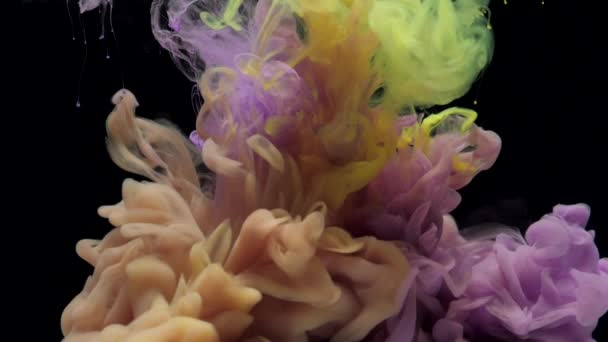 Långsam rörelse lila och gult bläck blandning i vatten, virvlande mjukt under vattnet — Stockvideo