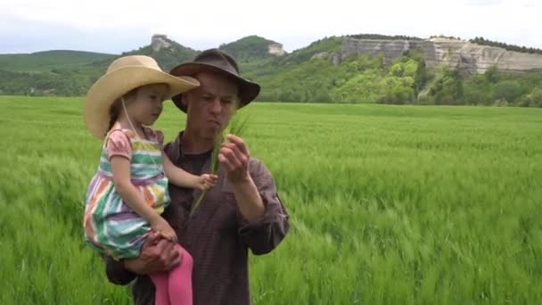 Farmář se svým dítětem kráčí po poli zelené pšenice