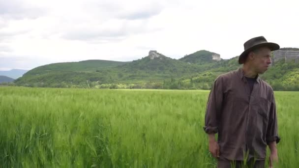 Boer in een wandeling op een groen tarweveld. Agronomist verbouwt tarwe — Stockvideo