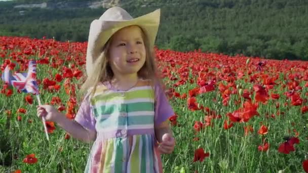 Criança com Bandeira do Reino Unido. Campo de papoilas ao pôr-do-sol. Dia da Memória — Vídeo de Stock