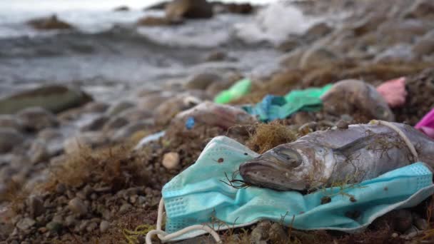 死鱼缠住在面容。处理不当的PPE会杀死海洋生物。医疗废物海洋污染。在海岸弃置的一次性塑料口罩及手套 — 图库视频影像