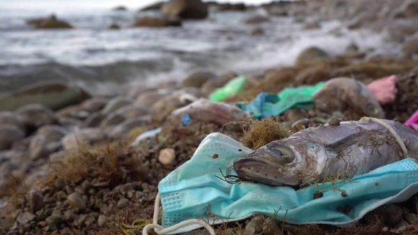 Pescado muerto enredado en la máscara facial. Eliminado incorrectamente, el PPE mata la vida marina. Residuos médicos contaminación oceánica. Máscaras y guantes de plástico desechados de un solo uso en la costa del mar — Foto de Stock