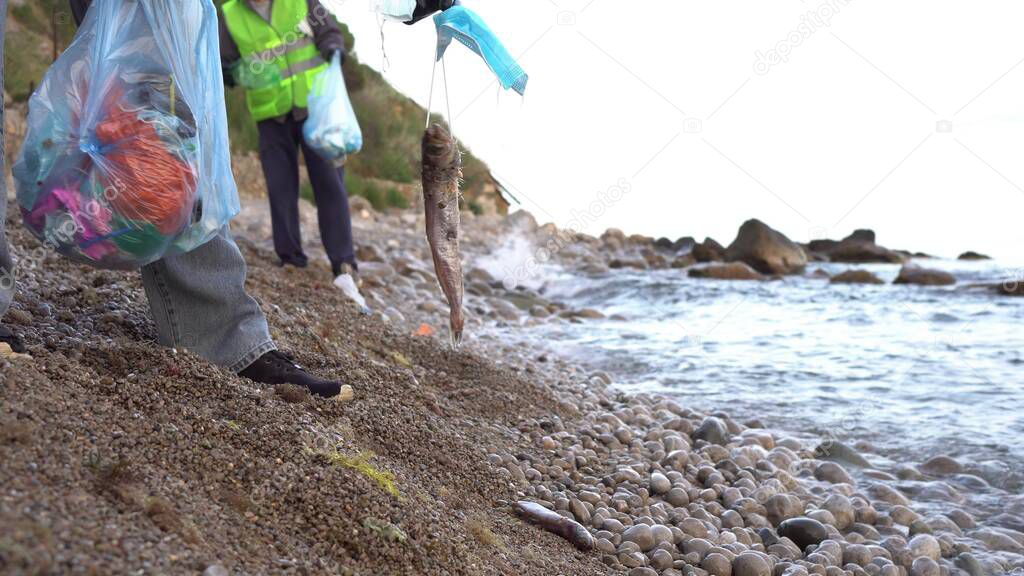 Sea fish becoming entangled in the ear straps of face masks and died. Discarded masks and gloves on ocean beach. Disposed of incorrectly PPE kills marine life. Volunteers collect garbage on the beach
