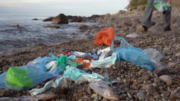 Covid-19医疗面罩111.海洋和环境污染。死鱼在海滩上丢弃的面具和手套。志愿人员在海滩收集垃圾 — 图库视频影像