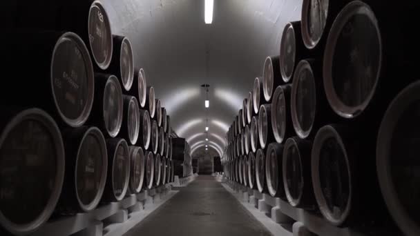 Stara piwnica z drewnianymi beczkami. Produkcja wina, produkcja wina, przemysł winiarski — Wideo stockowe