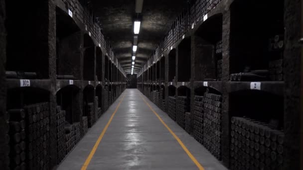 Bottles of wine aging in an underground cellar. An old stone wine cellar with aged wine collection. Traditional Storage of dusty glass bottles with old wine. Wine library — Stock Video