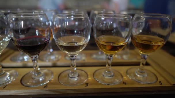 Ochutnávka vín. Ochutnávací tác s sklenicemi s různými druhy vína. Škála vín. Připravená degustační místnost vína ve vinném sklepě výrobce — Stock video