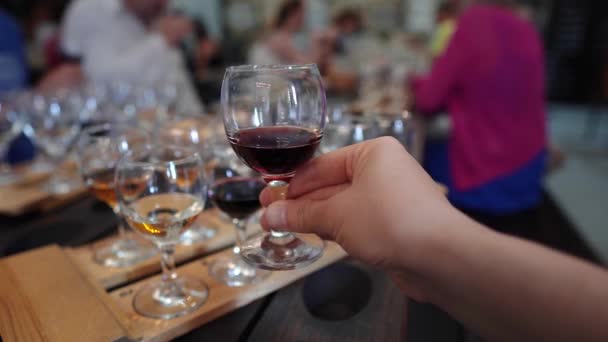 ワイナリーテイスティングルーム。ワインテイスティングイベント。試飲者はワインを味わう。ポートワインのグラスを渦巻く。木製のトレイのガラスに白、ピンク、赤のワインのサンプル — ストック動画
