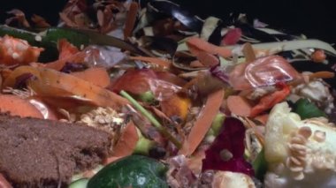 Food organic bio waste. A lot of kitchen waste, cleaning of fruits and vegetables, uneaten excess food, spoiled products