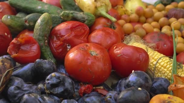 Spoiled food loss and waste at the retail and consumer levels. Discarded rotten fruits and vegetables left for waste after a market. Refuse, Reduce Reuse Rot Recycle — Stok video