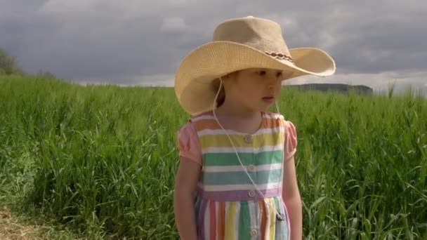 Küçük tatlı kız çiftçi kız, yeşil buğday tarlasında yürüyor. Aile organik tarım işi. Köyde hayat. Tarım endüstrisi hasat konsepti — Stok video