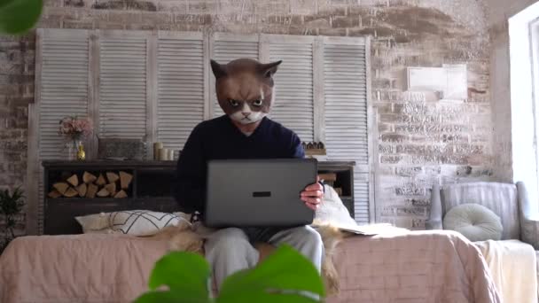 Kedi maskeli bir ucube evde dizüstü bilgisayarla çalışıyor. Covid-19 salgını sırasında tecrit. Grotesk, çirkin, absürt, çılgın, ucube — Stok video