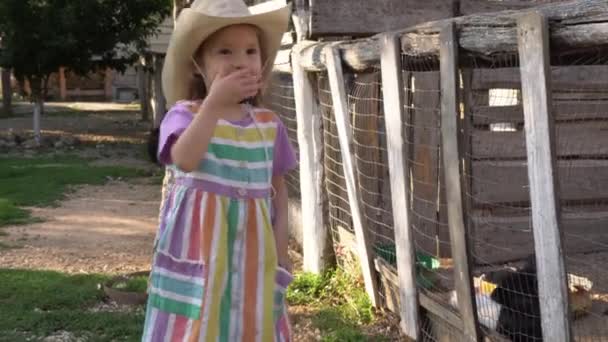 A little happy baby girl is walking around the farm. Outdoor pen for rabbits and chickens. Organic farming. Agriculture small family business — Stock Video