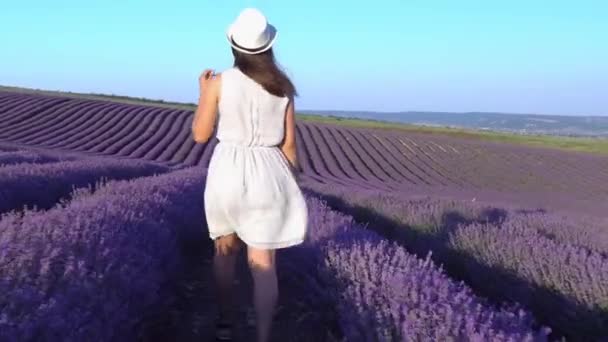 Uma menina bonita caminha através de um campo de lavanda florescente. Florescimento de verão — Vídeo de Stock