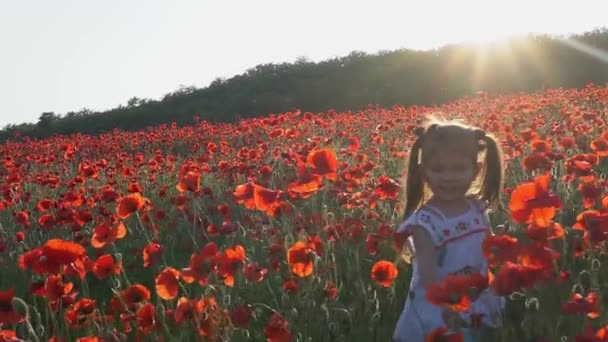 Krásné šťastné dívky běží přes květinové pole. Červený mák. Makové pole při západu slunce — Stock video