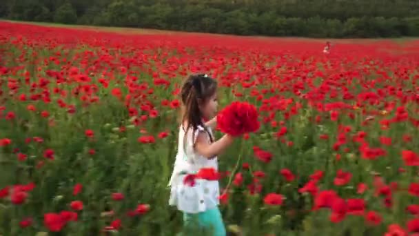 Bella bambina americana raccoglie un mazzo di fiori su un campo di papaveri. Il papavero ricordo. Il giorno dell'indipendenza. Campo dei papaveri al tramonto. 4 luglio — Video Stock
