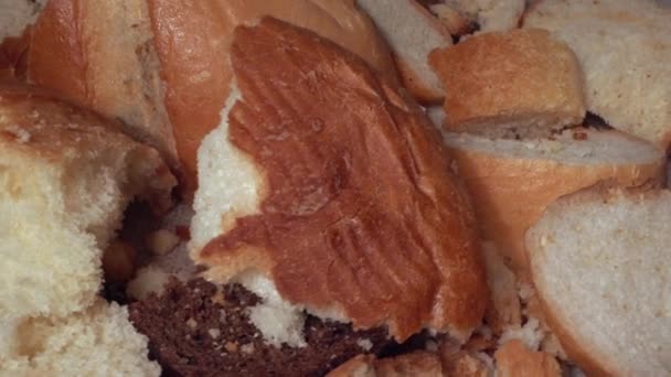 Many slices of stale bread. Dry bread thrown in the trash. Discarded moldy stale bread close up. Food loss and waste. Wasted bread, food wasting — Stock Video