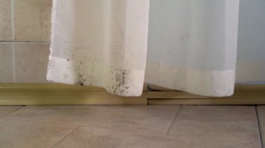 Hindistan 'da Covid-19 ve siyah mantar. Duş perdesindeki küf. Zehirli siyah küf. Yüksek seviyede nem, banyo ve bodrum katı. Kumaş 'tan Küf Kaldırılıyor