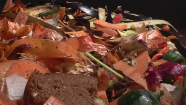 Organic kitchen waste, vegetable peels and fruit scraps, moldy stale bread close up. Food loss and food waste. Left-over organic matter from restaurants, hotels and households — Stock Video