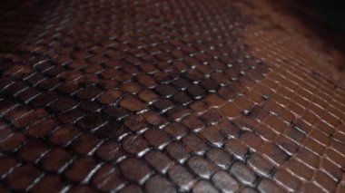Egzotik yılan derisi. Gerçek deri dokusu çok yakın. Doğal desen. Moda ve giysi endüstrisi, çantalar, kemerler ve ayakkabılar, Deri döşemeler