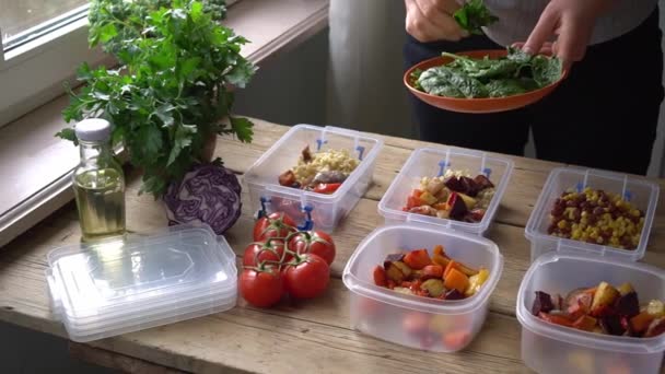 Niskowęglowodanowe. Pojemniki wielokrotnego użytku na wynos i pudełko na lunch. Zdrowe przygotowanie do gorącego posiłku. Domowej roboty wegańskie jedzenie. Pakowanie obiadu bez odpadów — Wideo stockowe