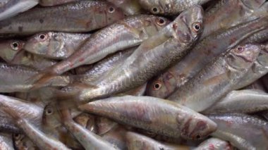 Taze deniz ürünleri, balık pazarı. Keçi balığı, kefal. Diyet, Akdeniz mutfağı, balık pazarı, sağlıklı yiyecekler.