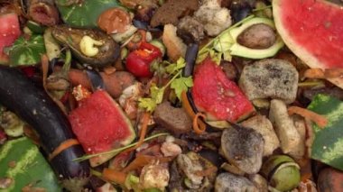 Organik mutfak atığı yığını. Yiyecek kaybı ve yiyecek atıkları. Restoranlardan, otellerden ve evlerden arta kalan organik maddeler. Gübreleme, Geri Dönüşüm, Çöp Sıralama