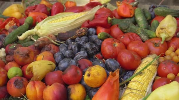 Çöplükte meyve ve sebzeler, yenmemiş olarak atılıyor. Çöpteki çürük meyveler. Tarımsal üretim ve hasatta gıda kaybı. Organik atık yığını, gübre. — Stok video