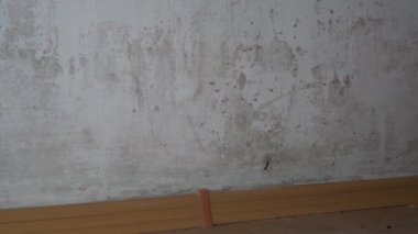 Duvarlarda ve tavanda siyah küf belirtileri var. Su hasarı, su sızıntısı, yoğunlaşma, su sızıntısı ya da selden kaynaklanan nem. Bir apartmanda siyah küf.