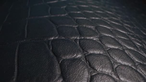 Textura de cuero animal exótico real muy de cerca. Patrón natural. Industria de la moda y la ropa, zapatos, bolso, cinturón, abrigo y otros accesorios de cuero. Muebles de tapicería de cuero — Vídeo de stock