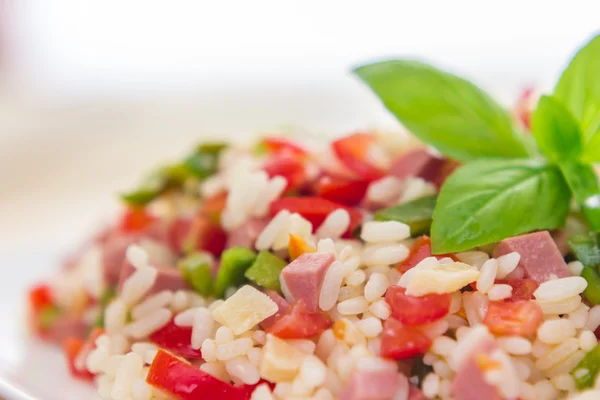 Tasty Rice salad — Stock Photo, Image