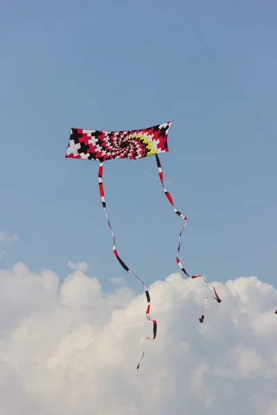 stock image beautiful Kite festival