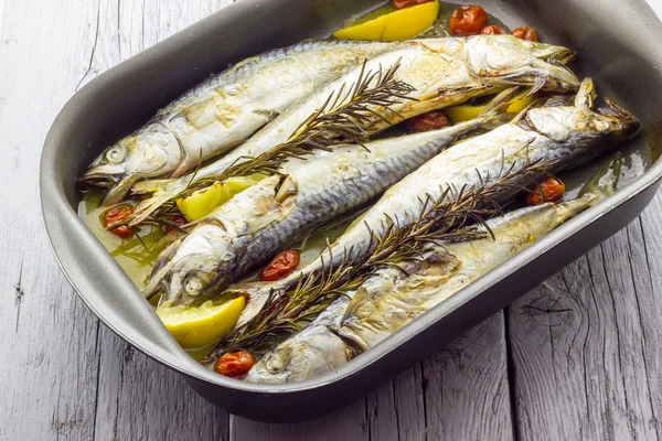 Mackerel baked with tomatoes — Stock Photo, Image