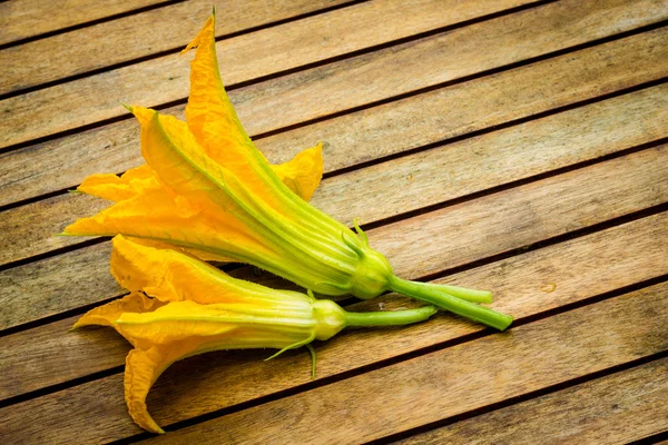 Zucchini flowers closeup — Stock Photo, Image