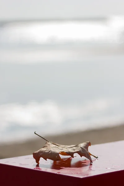 Outono na praia — Fotografia de Stock