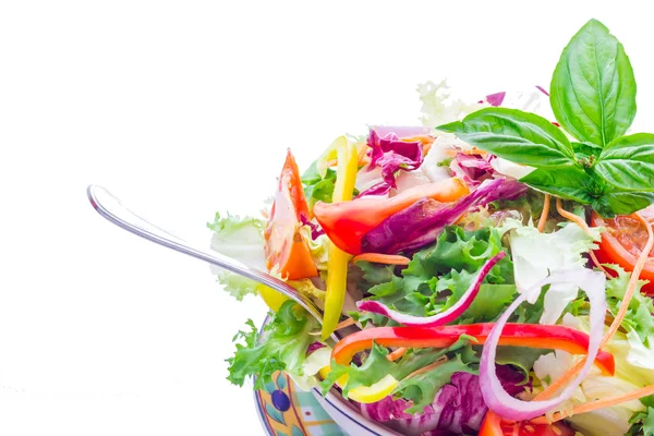 Vegetable salad view — Stock Photo, Image