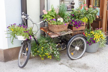 Güzel saksıları görünümü