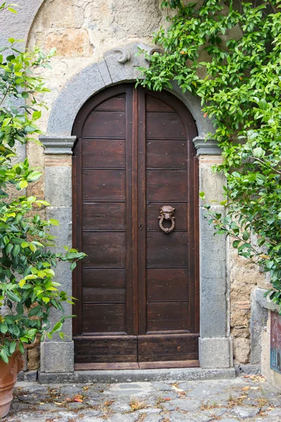 Old brown Doors — Stock Photo, Image