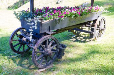 Ahşap çiçek kutusu