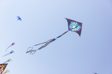 Uçurtma Festivali görünümü