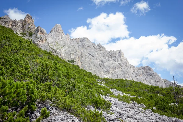 Sentieri montani Tre Cime Lavaredo — Foto Stock