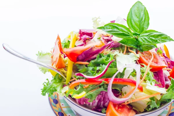 Vegetable salad closeup view — Stock Photo, Image