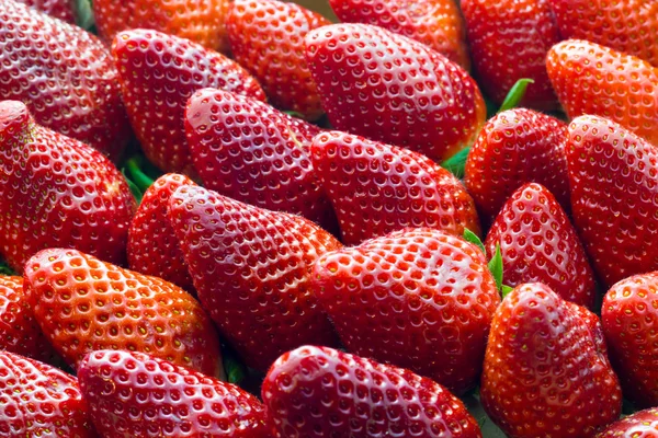 Tasty red Strawberries — Stock Photo, Image