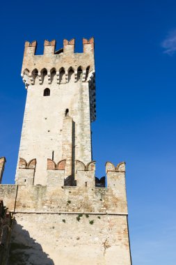 Scaliger Castle Verona